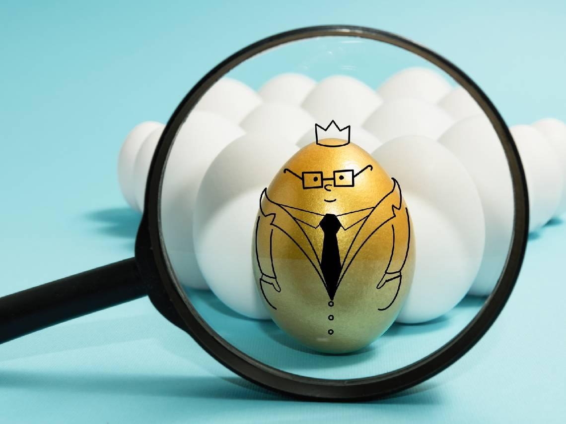 00981A、00984A、00985A...主動式ETF分3種，該怎麼挑？「這檔」0050加強版穩穩賺，拚高股息就選它